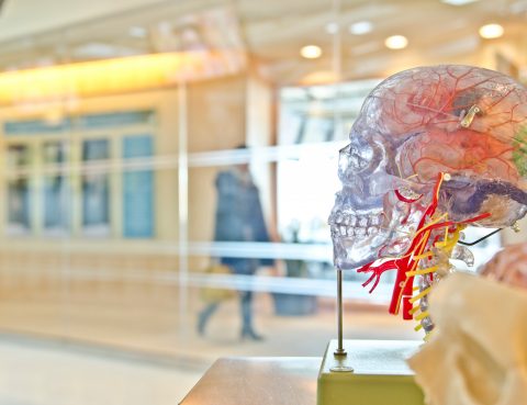 Neuralgia del Trigémino