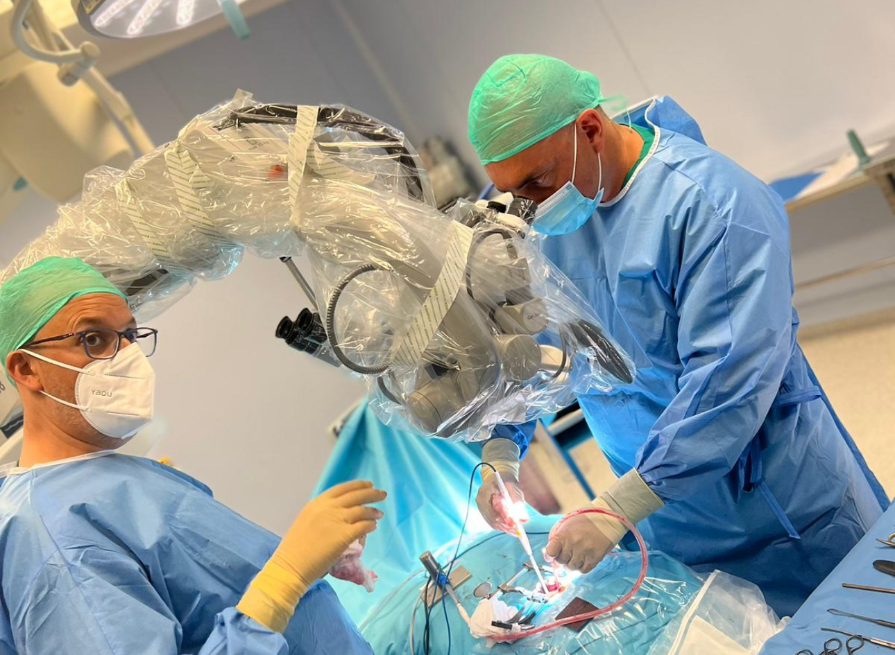 低侵襲手術：プレートやネジを使わずに健康を取り戻す