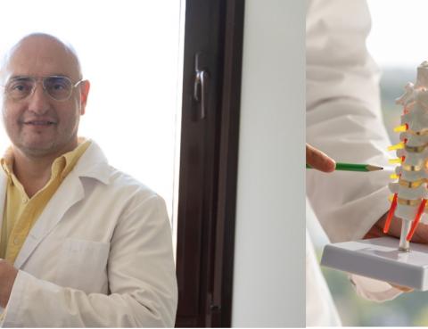 Anatomía de la columna vertebral